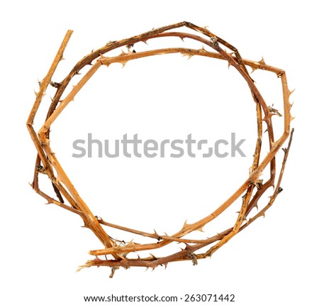 Crown of thorns Stock Photos, Images, & Pictures | Shutterstock