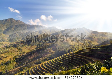 Rice fields on terraced mountain farm landscapes Lao Cai province, Sapa Viet Nam, Northwest Vietnam.