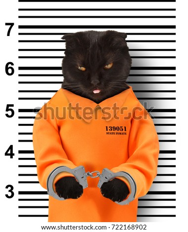 Orange Jumpsuit Stock Images, Royalty-Free Images & Vectors | Shutterstock