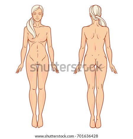 Female Body Front Back View Template Stock Vector ...