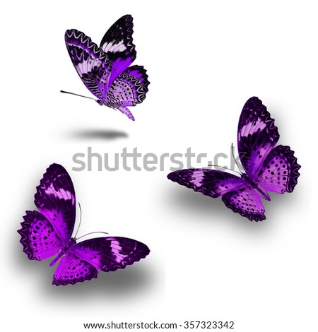 Purple Butterfly Flying Stock Images, Royalty-Free Images & Vectors ...