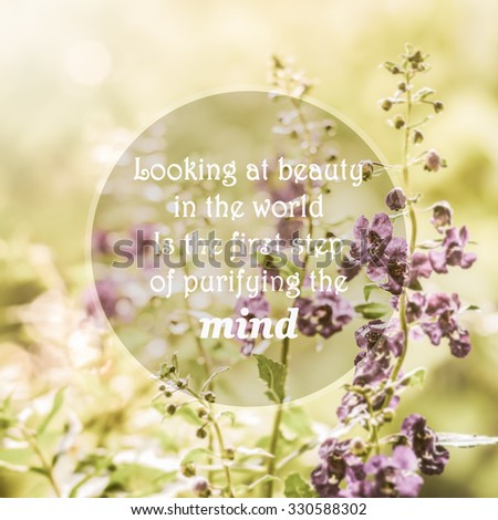 meaningful quotes on purple flowers meadow stock photo image purple flower quotes