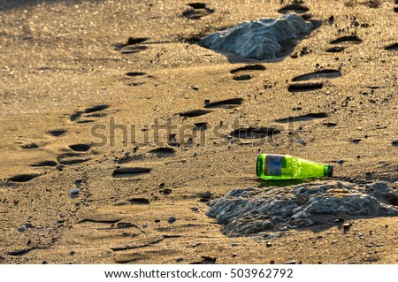 environmental pollution