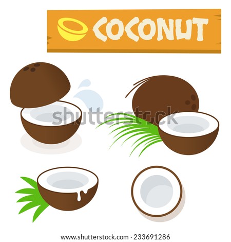 Coconut vector flat simple minimal icon illustration isolated on white
