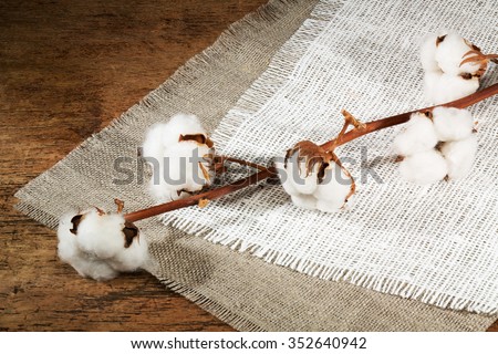 Cotton Stock Photos, Royalty-Free Images & Vectors - Shutterstock