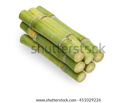 cane for fresh juice isolated on white background. This has clipping path. 