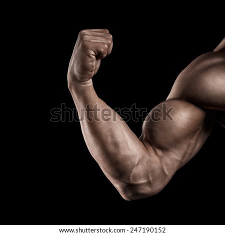 Muscle Stock Photos, Royalty-Free Images & Vectors - Shutterstock