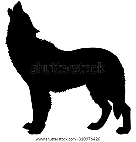 Silhouette Alpaca Stock Vector 60104800 - Shutterstock