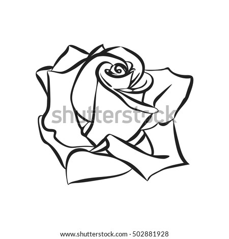 Rose Sketch Black Outline On White Stock Vector 502881928 - Shutterstock