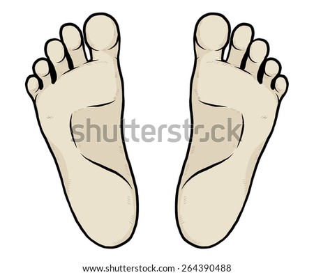 Left Right Sole Cartoon Vector Illustration Stock Vector 264390488 ...