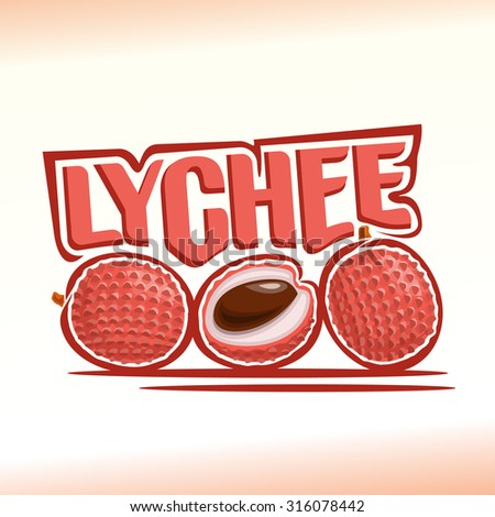 Vector illustration on the theme of the logo for Lychee, consisting of ripe cut half lychee and slice of fruit, still life composition