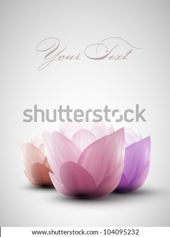 vector lotus flowers