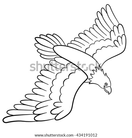 Coloring Pages Wild Birds Cute Eagle Flies And Smiles