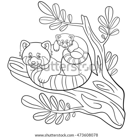 Coloring Pages Mother Red Panda Sits Stock Vector 473608078 - Shutterstock