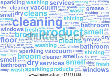 another word for cleaning service