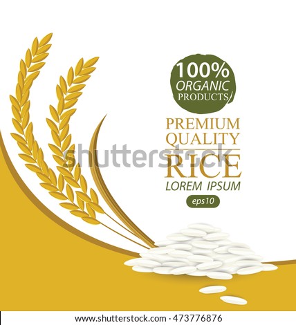 Rice. Vector illustration.