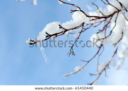 Winter Landscape Stock Photo 87314494 - Shutterstock