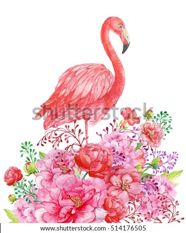 Flamingo Flowers Pink Flamingo Illustration Watercolor Stock ...