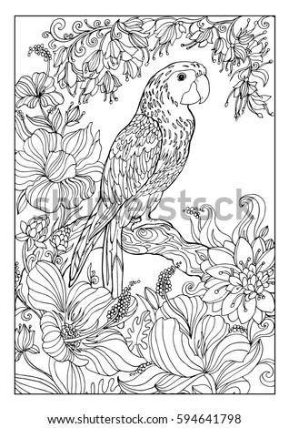Coloring Book Adultsa Large Parrot Macaw Stock Vector 594641798 ... Coloring Book Adultsa Large Parrot Macaw Stock Vector 594641798 ...
