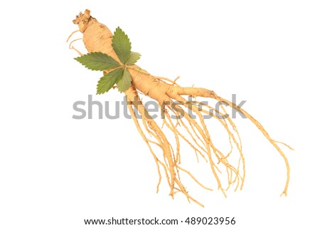 ginseng isolated on white background