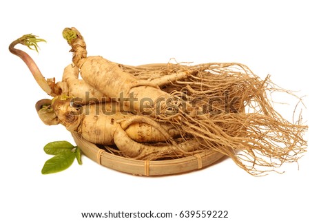 ginseng isolated on white background