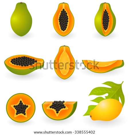 Vector illustration of papaya