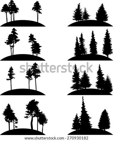 Redwood Stock Photos, Royalty-Free Images & Vectors - Shutterstock