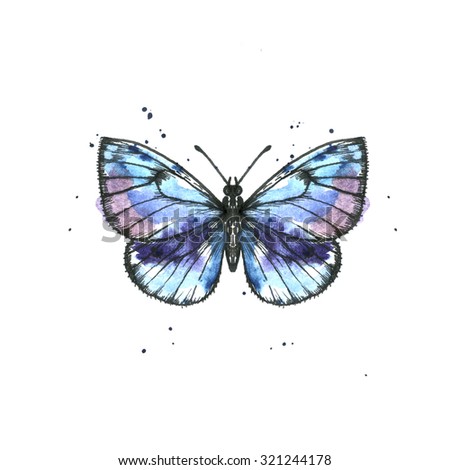 Blue Butterfly Drawing By Ink Watercolor Stock Illustration 321244178