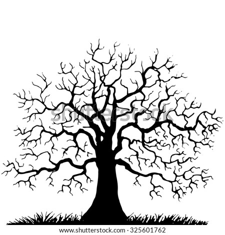 Tree Without Leaves Stock Images, Royalty-Free Images & Vectors ...