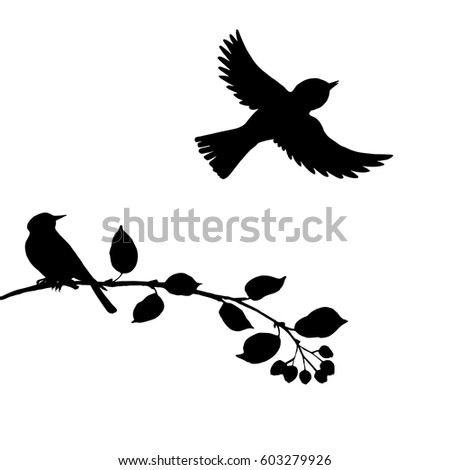 Songbird Stock Vectors, Images & Vector Art | Shutterstock