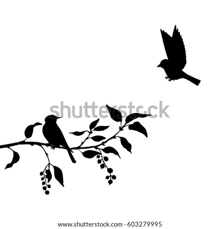 Vector Silhouettes Birds Tree Hand Drawn Stock Vector 603279995 ...