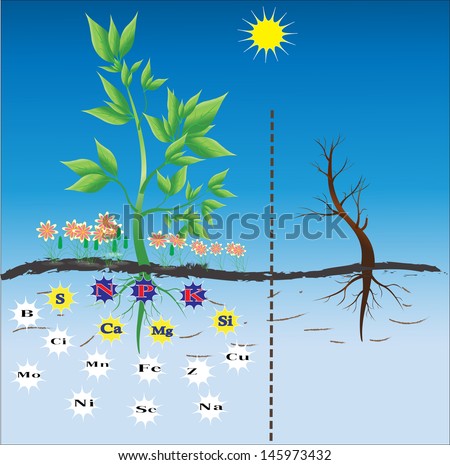 What Nutrients Is a Clip Art