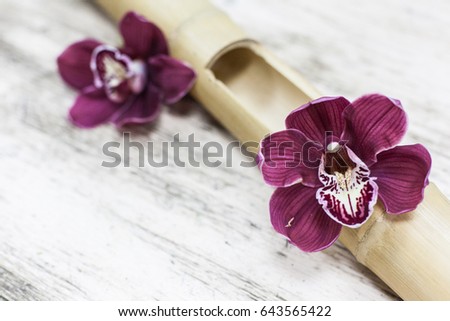 Orchid flower and green leaves background in garden. Orchid is considered the queen of flower in Thailand.
