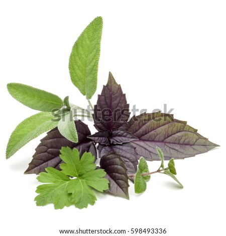 herbal medicine wiki