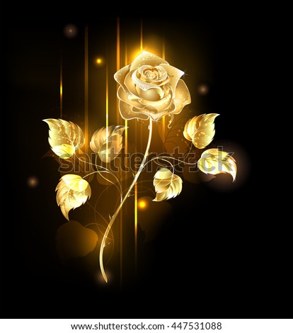 Glowing Golden Rose On Black Backgrounddesign Stock Illustration ...