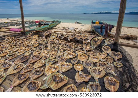 Traditional salted fish drying on racks in Gugusan Island,Semporna,Sabah,Borneo.Sea Gypsy or Bajau Laut sell their surplus catch as dried and salted fish through nearest town in Semporna,Sabah.