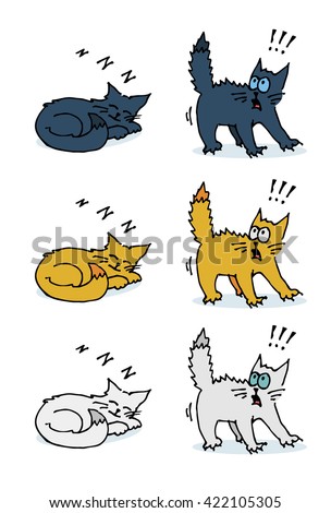 Set Sleeping Scared Cat Colorful Hand Stock Vector 422105305 - Shutterstock