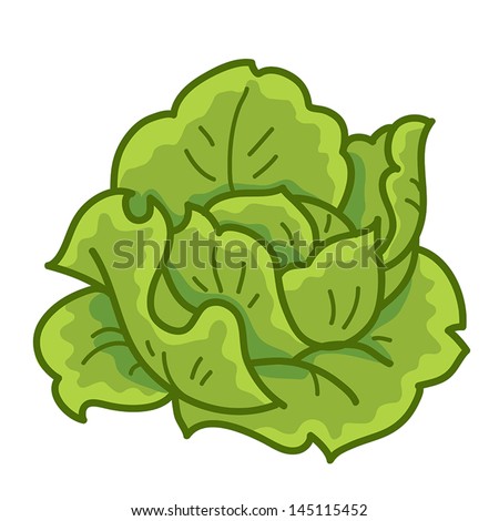 green cabbage cartoon isolated illustration on white background - stock ...