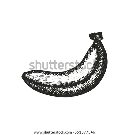 Banana Drawing Stock Images, Royalty-Free Images & Vectors | Shutterstock