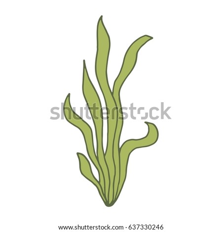 Green Seaweed Kelpalgae Ocean Watercolor Hand Stock Illustration ...