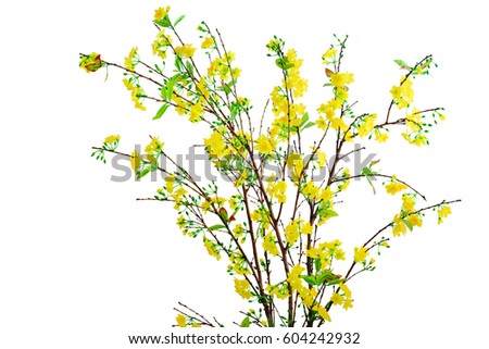 Yellow apricot flower artificial isolated on white background