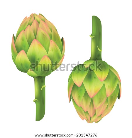 Artichoke Stock Photos, Images, & Pictures | Shutterstock