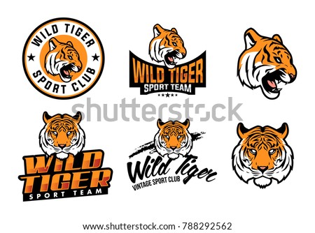 Set Illustrated Tiger Themed Sport Logo Stock Vector (Royalty Free ...