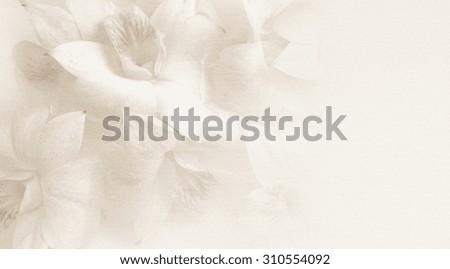 sweet orchids on mulberry paper texture for background