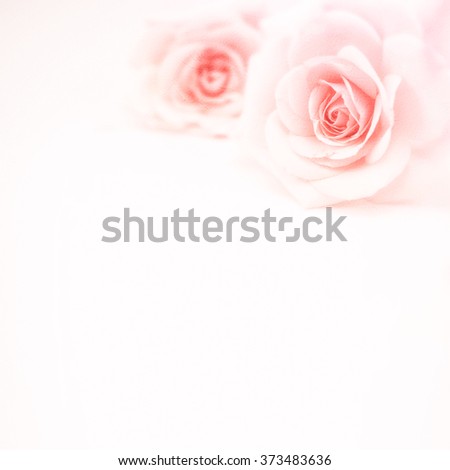sweet pink roses in soft and blur style on mulberry paper texture for romantic background