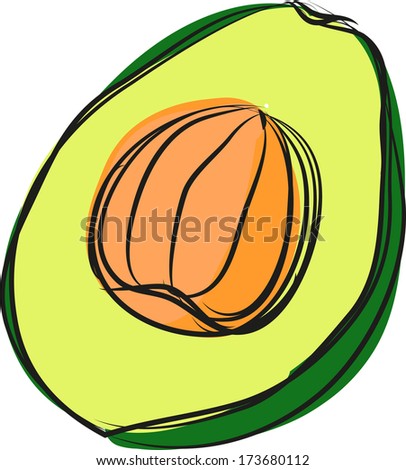 Vector Sketch Fresh Avocado Stock Vector 173680112 - Shutterstock
