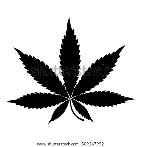 Marijuana Leaf Icon Cannabis Icon Vector Stock Vector 336783626