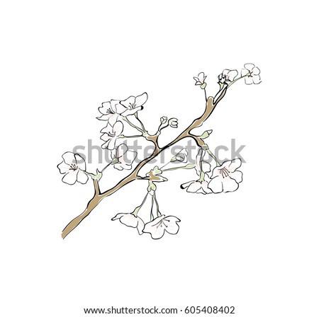 Sakura tree branch sketch
cherry blossom vector outline