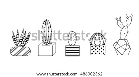 Image Result For House Plant Display Image Result For House Plant Display