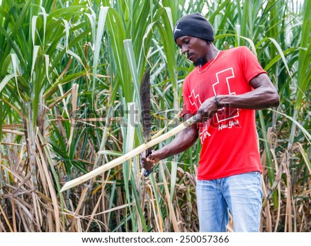 Haitian Man Stock Photos, Images, & Pictures | Shutterstock